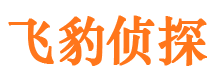 江岸婚外情调查取证